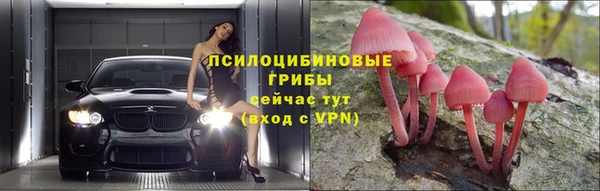 кокс Нягань