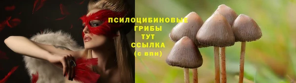 дурь Абаза