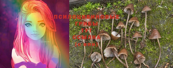 дурь Абаза