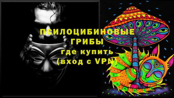 МДМА Няндома