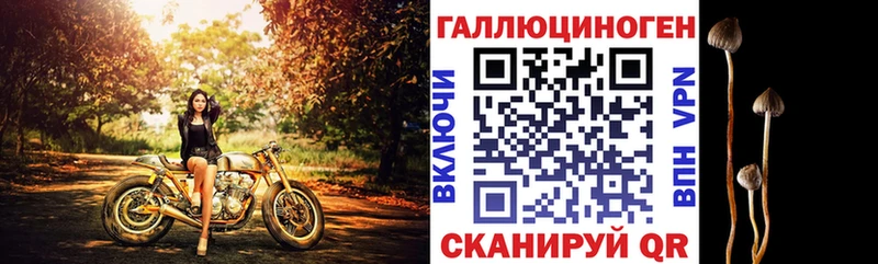 мега ONION  Абакан  Псилоцибиновые грибы Cubensis 
